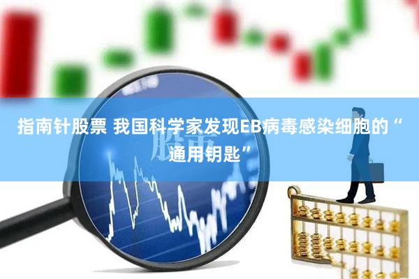 指南针股票 我国科学家发现EB病毒感染细胞的“通用钥匙”