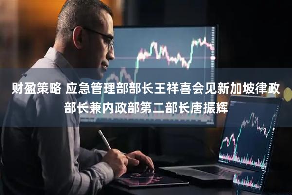 财盈策略 应急管理部部长王祥喜会见新加坡律政部长兼内政部第二部长唐振辉