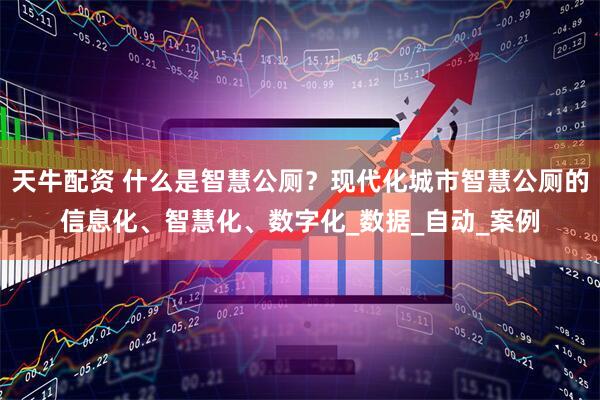 天牛配资 什么是智慧公厕？现代化城市智慧公厕的信息化、智慧化、数字化_数据_自动_案例