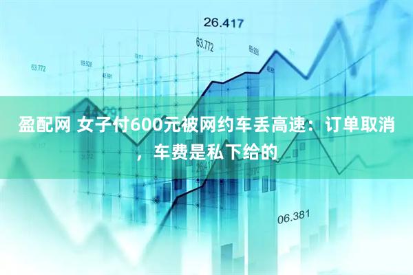 盈配网 女子付600元被网约车丢高速：订单取消，车费是私下给的